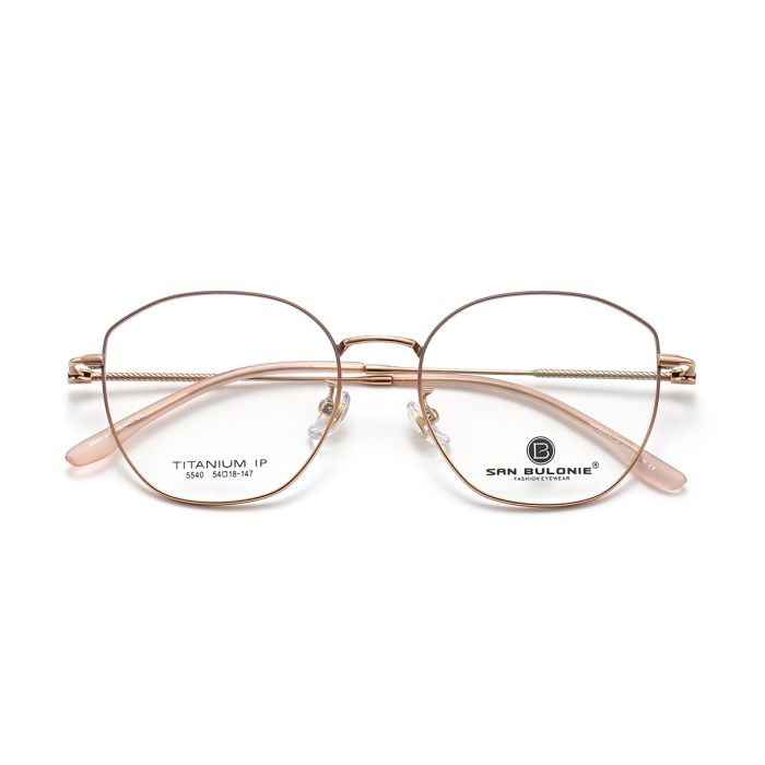 Titanium Optical Frames (4)