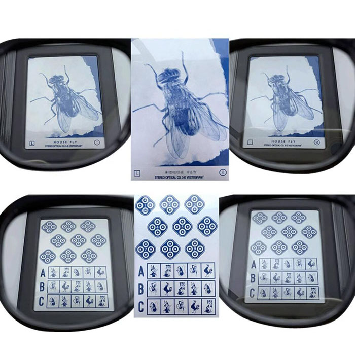 JH-555 Stereoscopic fly image Stereoscopic detection Fly butterfly Titmus Stereoscopic polarization test Inspection image - image4
